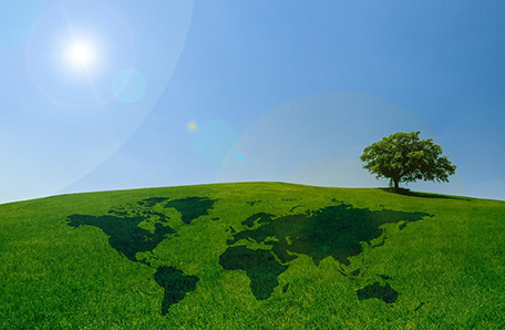 走进精欧-精欧控股集团